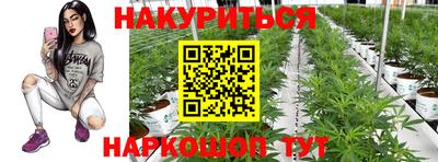 амф Заволжье
