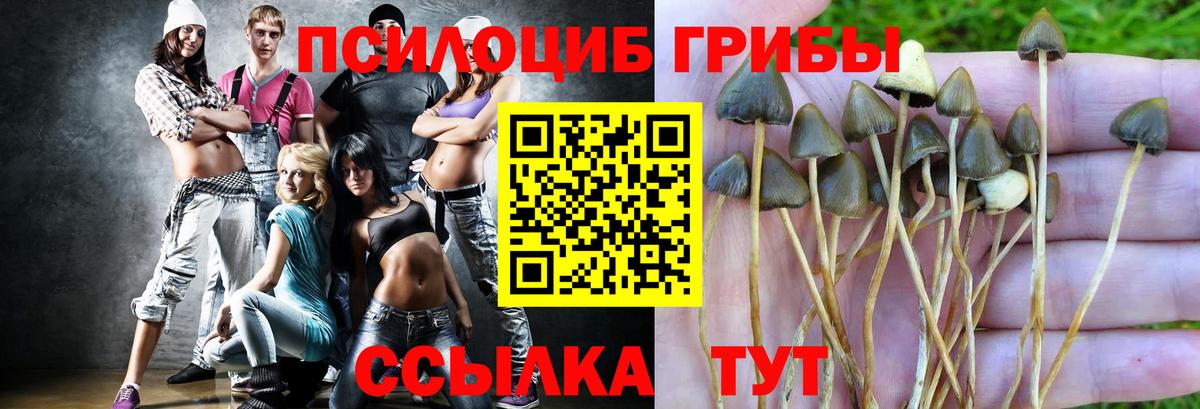 Галлюциногенные грибы MAGIC MUSHROOMS  Вход с VPN  даркнет сайт  Кунгур 