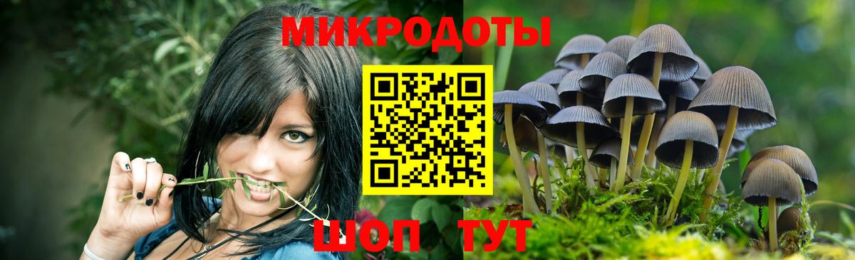 Галлюциногенные грибы Magic Shrooms Кунгур